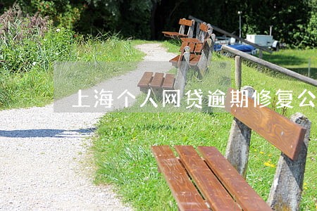 上海个人网贷逾期修复公司 上海个人网贷逾期修复公司