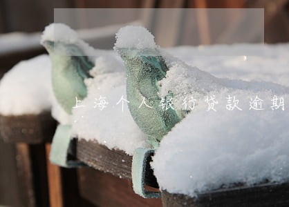 上海个人银行贷款逾期 上海个人银行贷款逾期