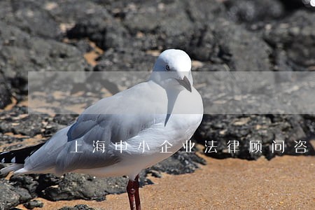 上海中小企业法律顾问咨询热线 上海中小企业法律顾问咨询热线