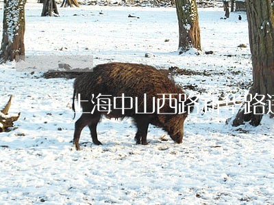 上海中山西路新华路违法变道 上海中山西路新华路违法变道