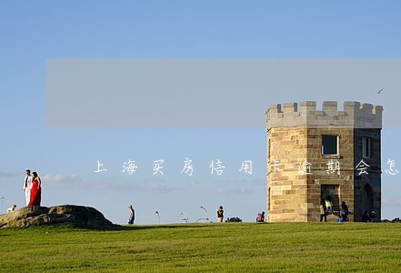上海买房信用卡逾期会怎样 上海买房信用卡逾期会怎样