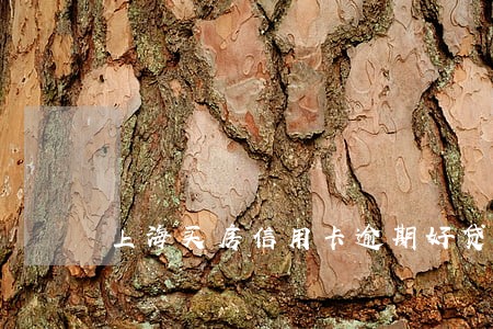 上海买房信用卡逾期好贷款吗 上海买房信用卡逾期好贷款吗