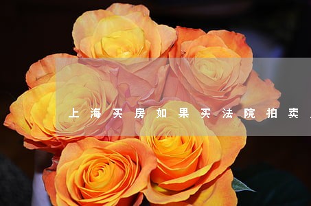 上海买房如果买法院拍卖房