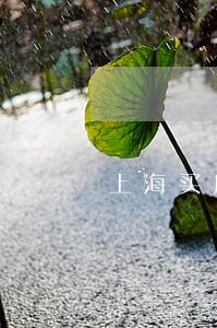 上海买房贷款逾期事件 上海买房贷款逾期事件
