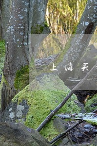 上海买新房要交律师费吗 上海买新房要交律师费吗