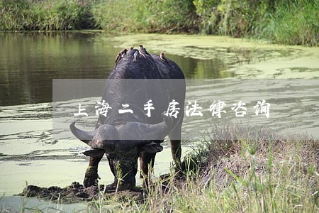 上海二手房法律咨询 上海二手房法律咨询