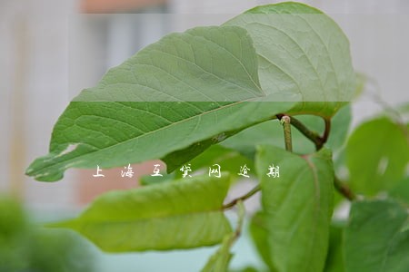 上海互贷网逾期 上海互贷网逾期