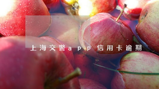 上海交警app信用卡逾期 上海交警app信用卡逾期