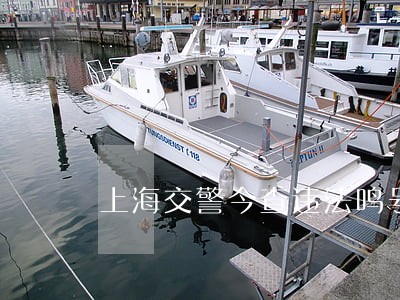 上海交警今查违法鸣号 上海交警今查违法鸣号