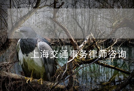 上海交通事务律师咨询 上海交通事务律师咨询