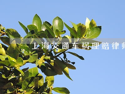 上海交通车祸理赔律师委托流程 上海交通车祸理赔律师委托流程
