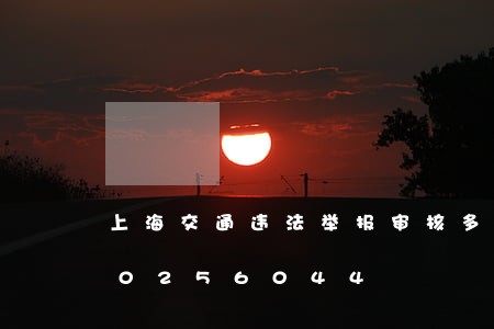 上海交通违法举报审核多久/2023020256044 上海交通违法举报审核多久/2023020256044