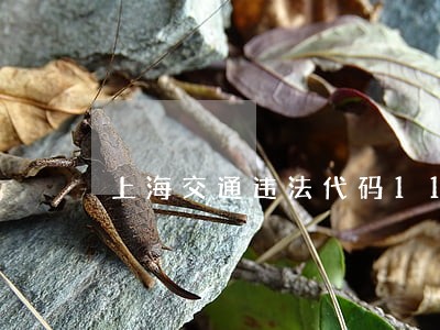上海交通违法代码1102e