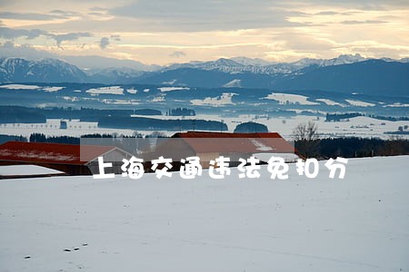 上海交通违法免扣分 上海交通违法免扣分