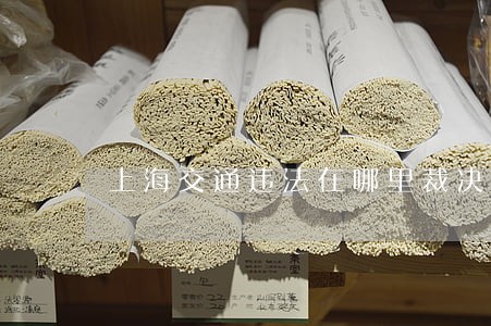 上海交通违法在哪里裁决 上海交通违法在哪里裁决