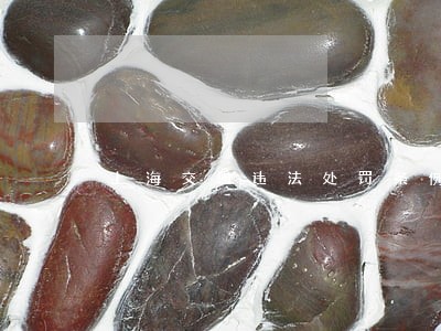 上海交通违法处罚条例
