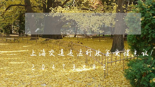 上海交通违法行政复受理点议/2023020473592 上海交通违法行政复受理点议/2023020473592