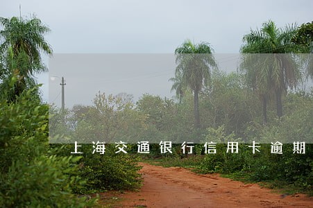上海交通银行信用卡逾期还款 上海交通银行信用卡逾期还款