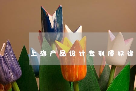 上海产品设计专利侵权律师收费 上海产品设计专利侵权律师收费