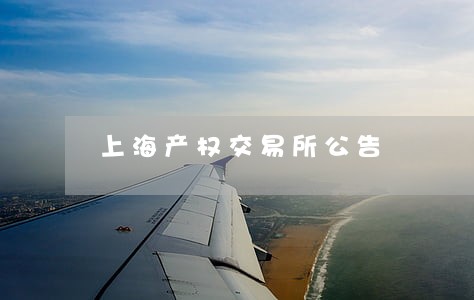 上海产权交易所公告 上海产权交易所公告