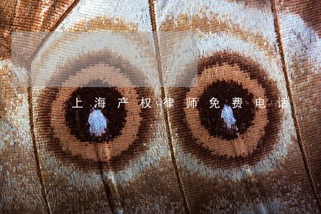 上海产权律师免费电话
