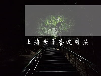 上海亲子鉴定司法 上海亲子鉴定司法