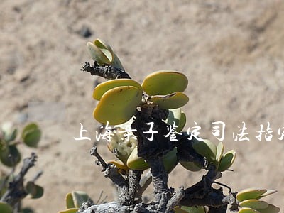 上海亲子鉴定司法指定医院 上海亲子鉴定司法指定医院
