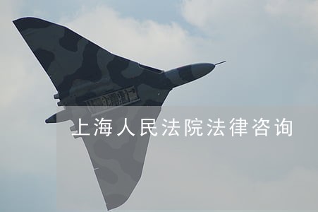 上海人民法院法律咨询