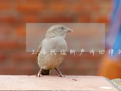 上海代位析产诉讼律师