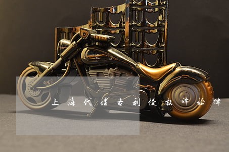 上海代理专利侵权诉讼律师价格 上海代理专利侵权诉讼律师价格