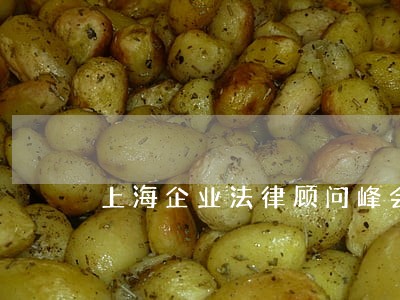 上海企业法律顾问峰会 上海企业法律顾问峰会