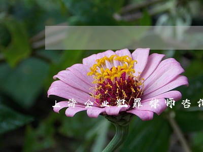 上海企业犯罪律师咨询热线 上海企业犯罪律师咨询热线