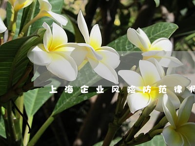 上海企业风险防范律师事务所