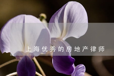 上海优秀的房地产律师 上海优秀的房地产律师