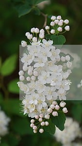 上海优秀起草合同协议律师 上海优秀起草合同协议律师