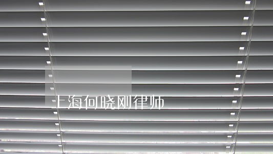 上海何晓刚律师 上海何晓刚律师