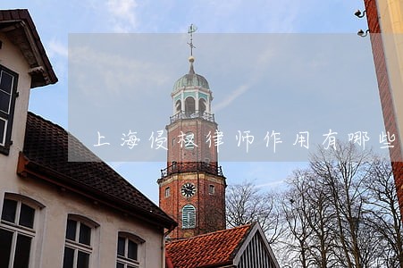 上海侵权律师作用有哪些 上海侵权律师作用有哪些