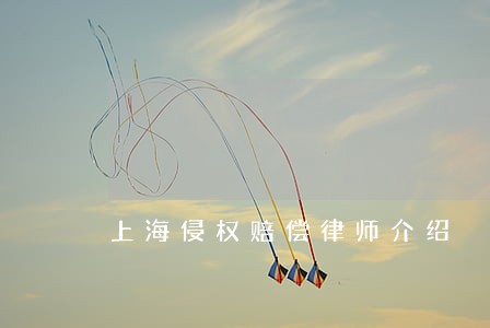 上海侵权赔偿律师介绍 上海侵权赔偿律师介绍
