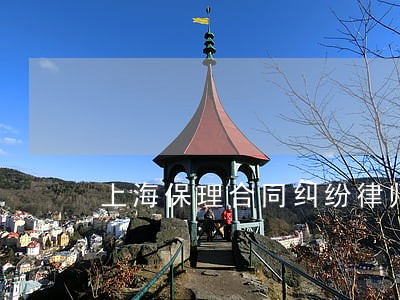 上海保理合同纠纷律师 上海保理合同纠纷律师