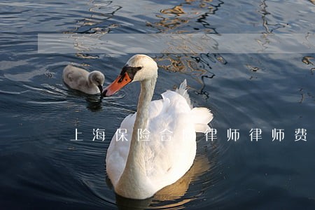上海保险合同律师律师费 上海保险合同律师律师费