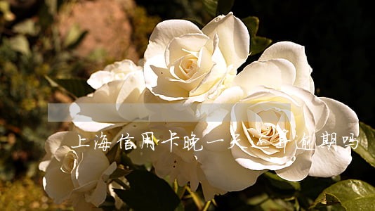 上海信用卡晚一天还算逾期吗 上海信用卡晚一天还算逾期吗