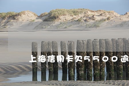 上海信用卡欠5500逾期 上海信用卡欠5500逾期