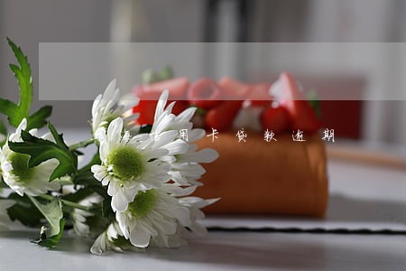 上海信用卡贷款逾期 上海信用卡贷款逾期
