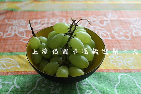 上海信用卡还款逾期一天 上海信用卡还款逾期一天
