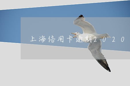 上海信用卡逾期2020 上海信用卡逾期2020