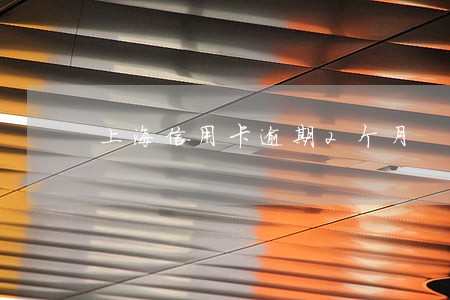 上海信用卡逾期2个月 上海信用卡逾期2个月