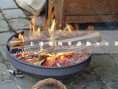 上海信用卡逾期30天被冻结