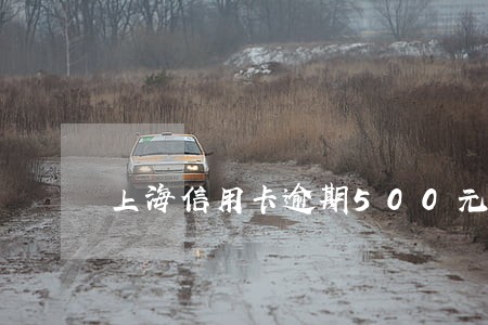 上海信用卡逾期500元十年后