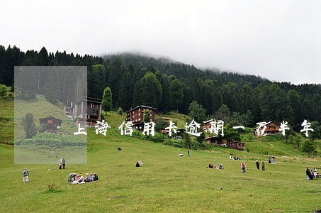 上海信用卡逾期一万半年 上海信用卡逾期一万半年