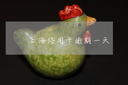 上海信用卡逾期一天 上海信用卡逾期一天
